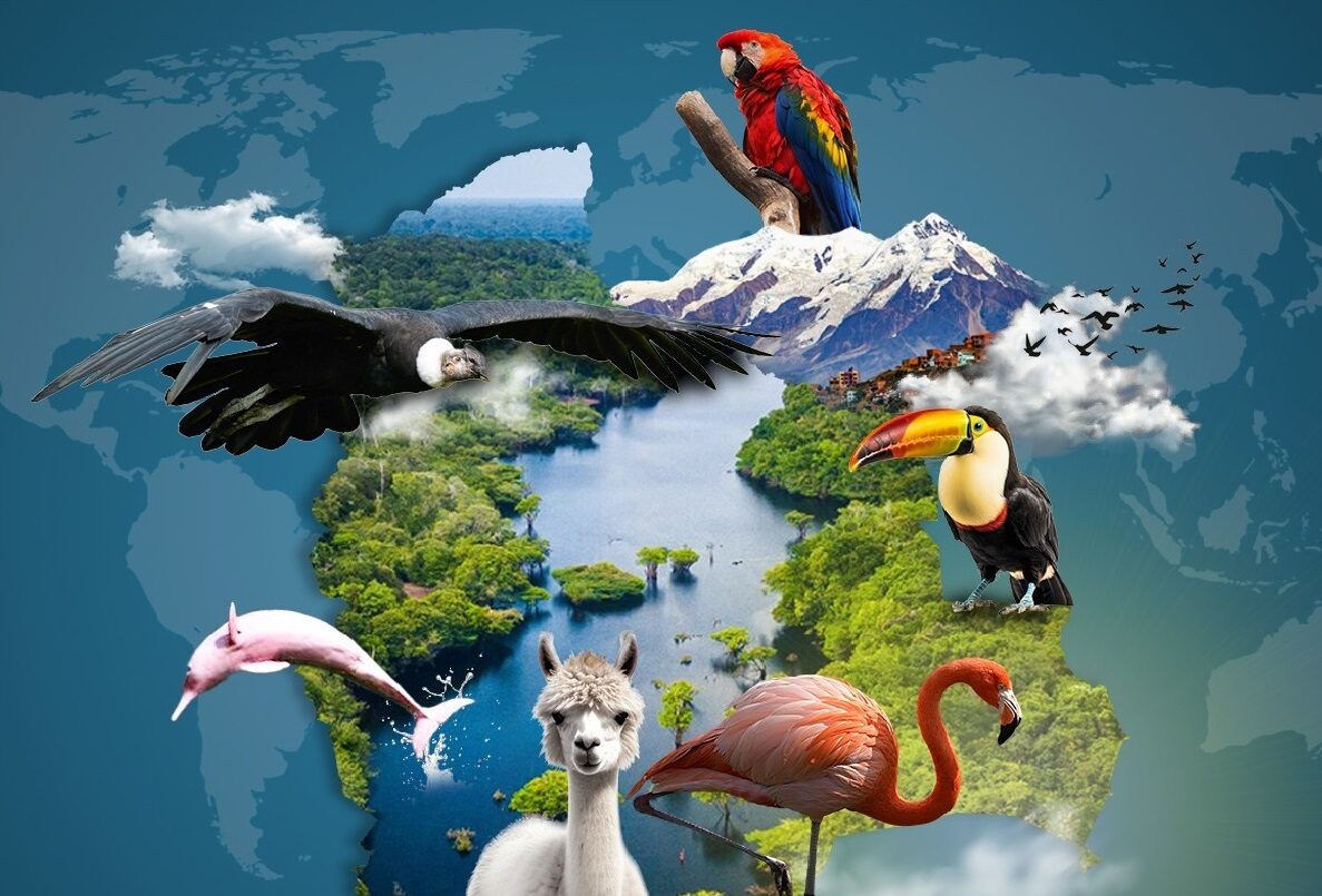 MEDIO AMBIENTE